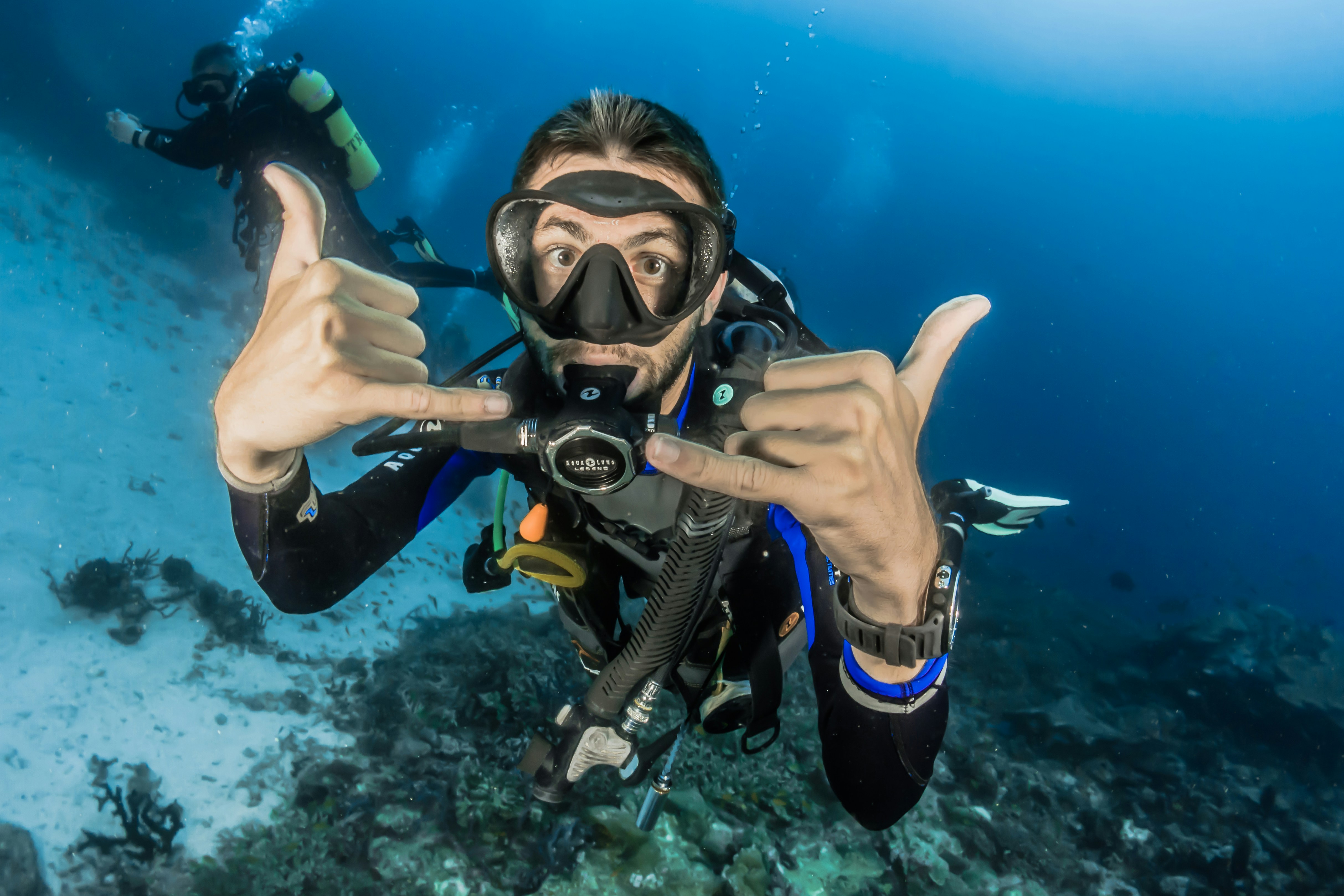 ダイバーが海中でポーズをとっている様子